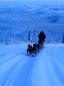 Photo Credit: Jodi Bailey